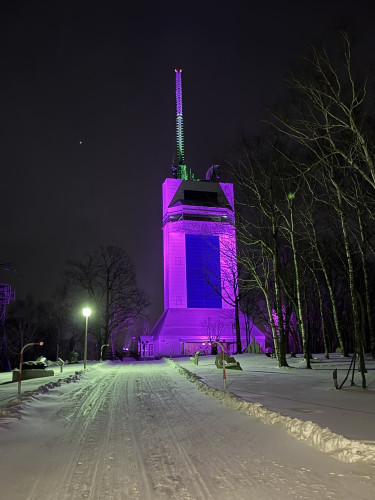 IMG_1338.jpg