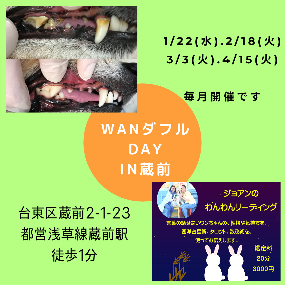 WanダフルDay in 蔵前