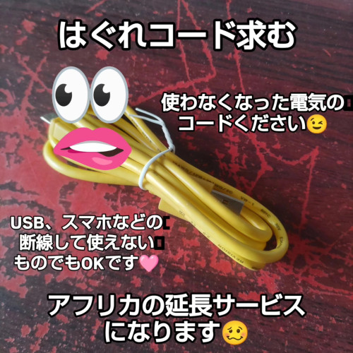 はぐれコードください.jpg