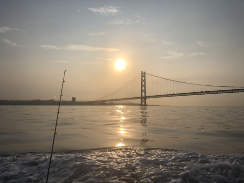 E3052D59-1F8F-4D0E-9D6B-DBFCE71E83C1.jpeg