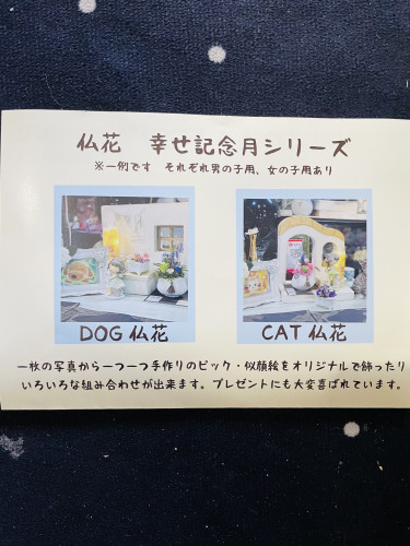 ED52CB44-4CF7-494E-A9EB-E1FD58F2DBD8.jpeg
