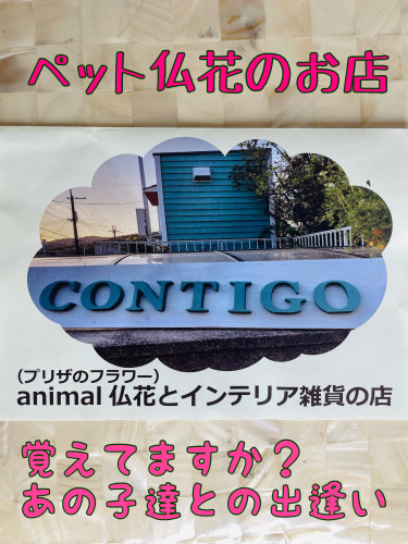 01A23EDA-2601-4043-8E39-49F919CA7CEE.jpeg