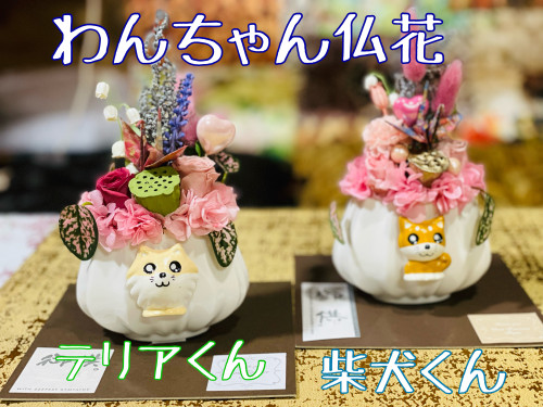 C4BEF650-E74E-43D1-9778-D9177366A715.jpeg