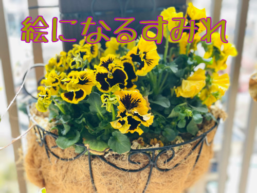C9E6CDA9-9BAB-4E8E-B379-DDF588C8E9F8.jpeg