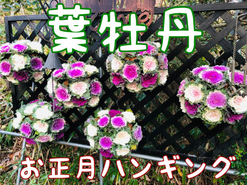 84006B4F-2E41-4F4F-9EAD-22EDD9B31F9E.jpeg