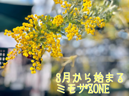 CA29624C-BCBC-4823-B492-5AF1D9A805EE.jpeg