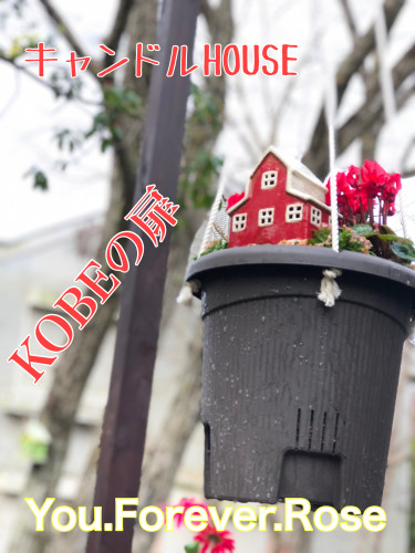 2E163EFB-288C-4F41-819D-35493B8CC80D.jpeg