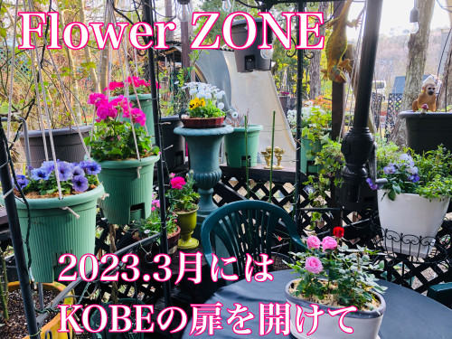 242CAF30-4CB5-4D9A-B3D8-6AD1EF91A529.jpeg