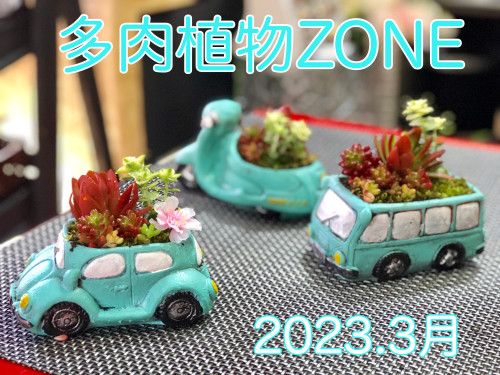 DB1BBA09-DCB8-40E3-8DFD-4C46DC7902CB.jpeg