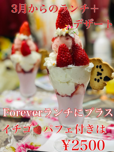 CCBBBEF0-AB3B-4E92-986E-2880A2E4F6A8.jpeg