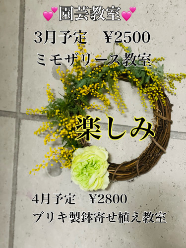 A7332790-A0A1-43E1-9E81-812E82963C5C.jpeg
