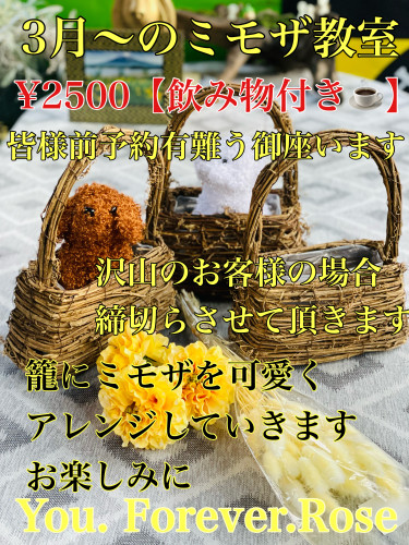794E92EF-CC65-486B-9E88-C77BE50AA490.jpeg