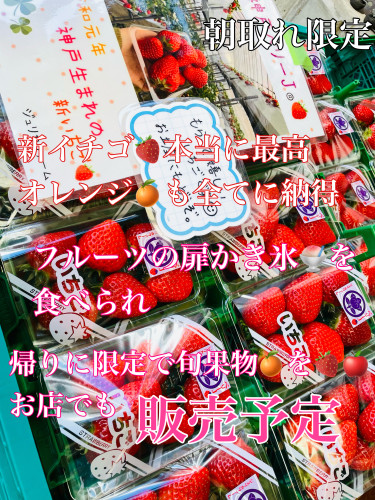 95C45307-1742-42B8-A3D1-BC31A2A0429A.jpeg