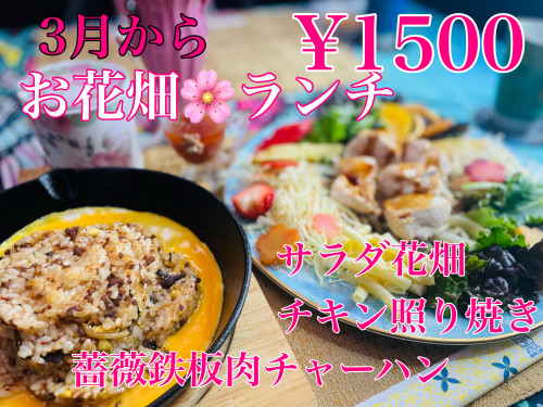D3BD91DF-56DB-46B4-9EAE-9C6682D851FC.jpeg
