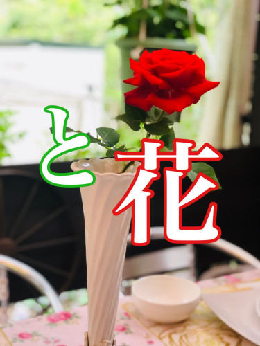 CB24A47A-B6C1-4ADC-9219-40F3B1E05033.jpeg