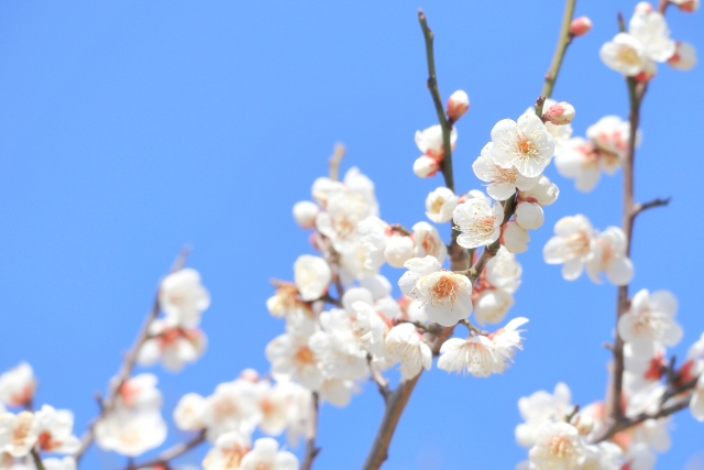 2月、まだまだ寒いですが