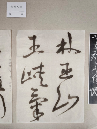 安井壽泉生誕110年記念 ガラスケース (2).jpg