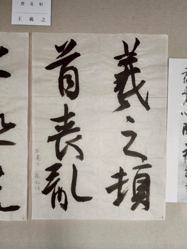 安井壽泉生誕110年記念 ガラスケース (4).jpg