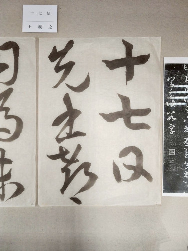 安井壽泉生誕110年記念 ガラスケース (5).jpg