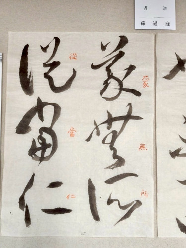 安井壽泉生誕110年記念 ガラスケース (7).jpg