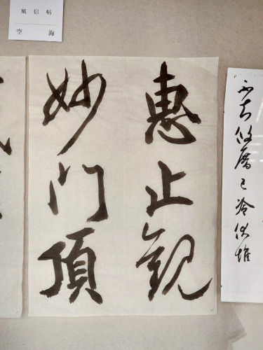 安井壽泉生誕110年記念 ガラスケース (6).jpg