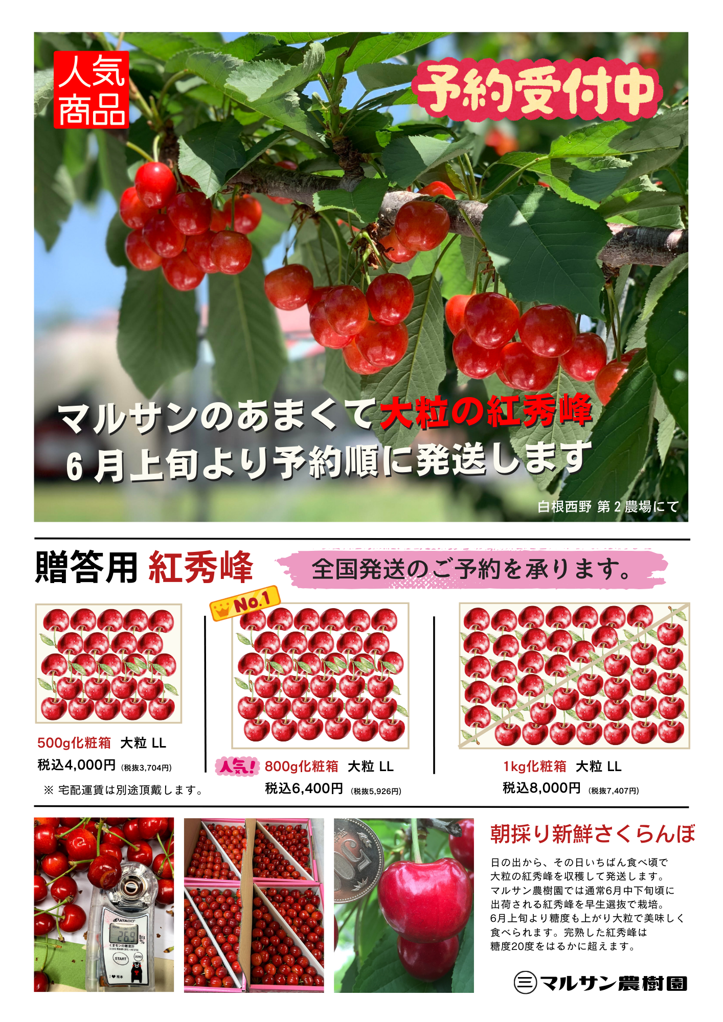 さくらんぼ案内.png
