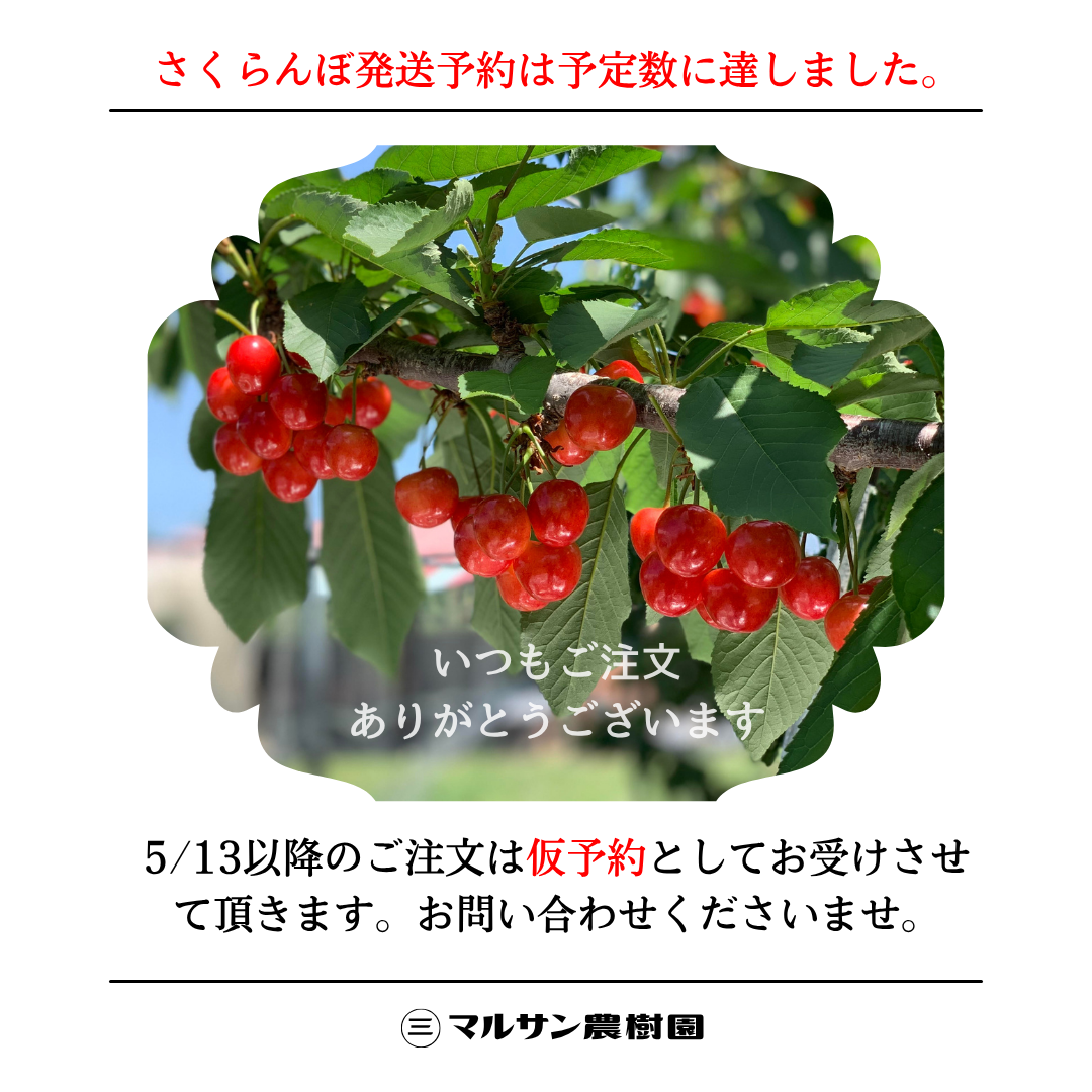 白 シンプル 写真 ケーキ 食べ物 完売 sold out インスタ Instagramの投稿.png