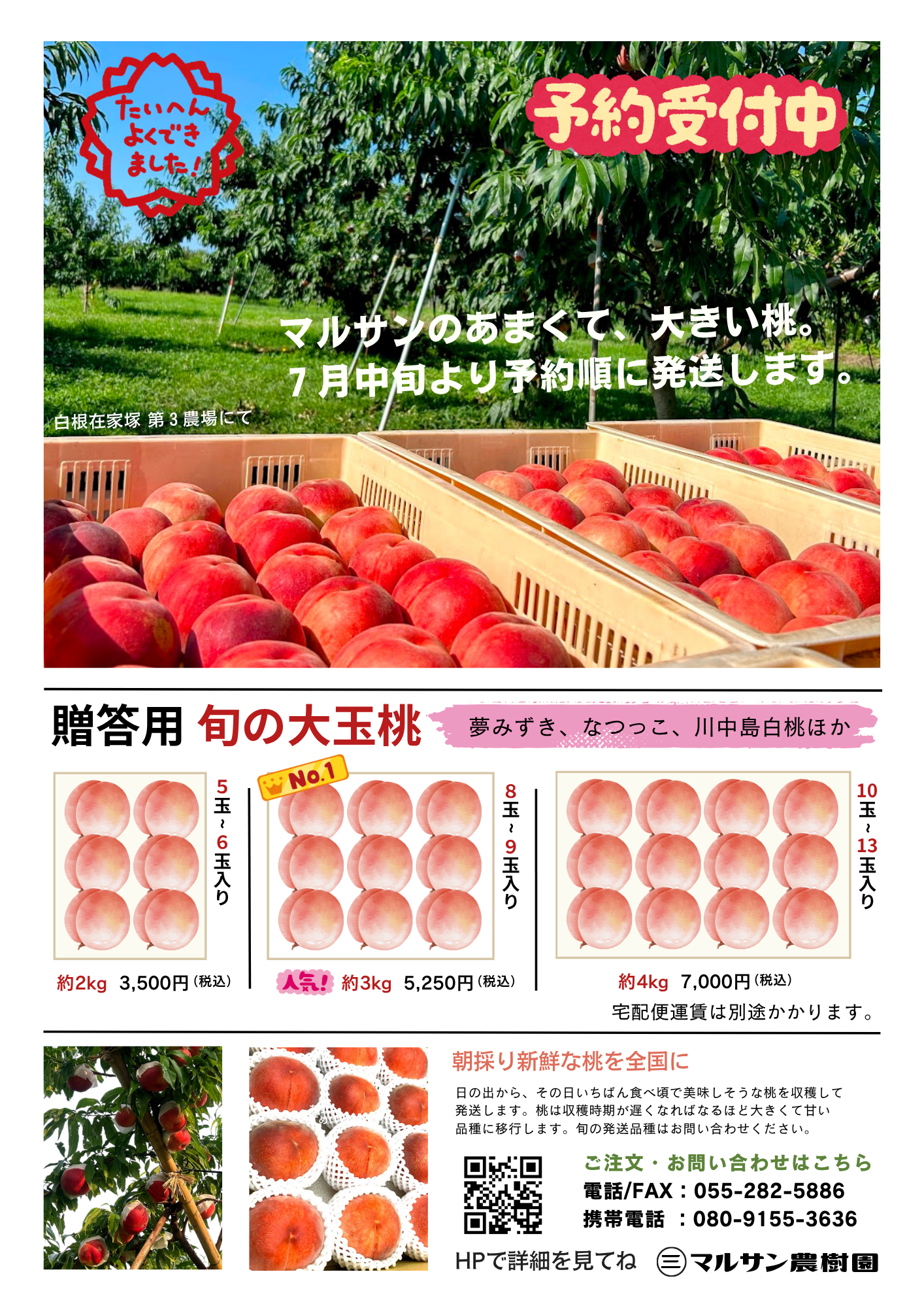もも案内.png