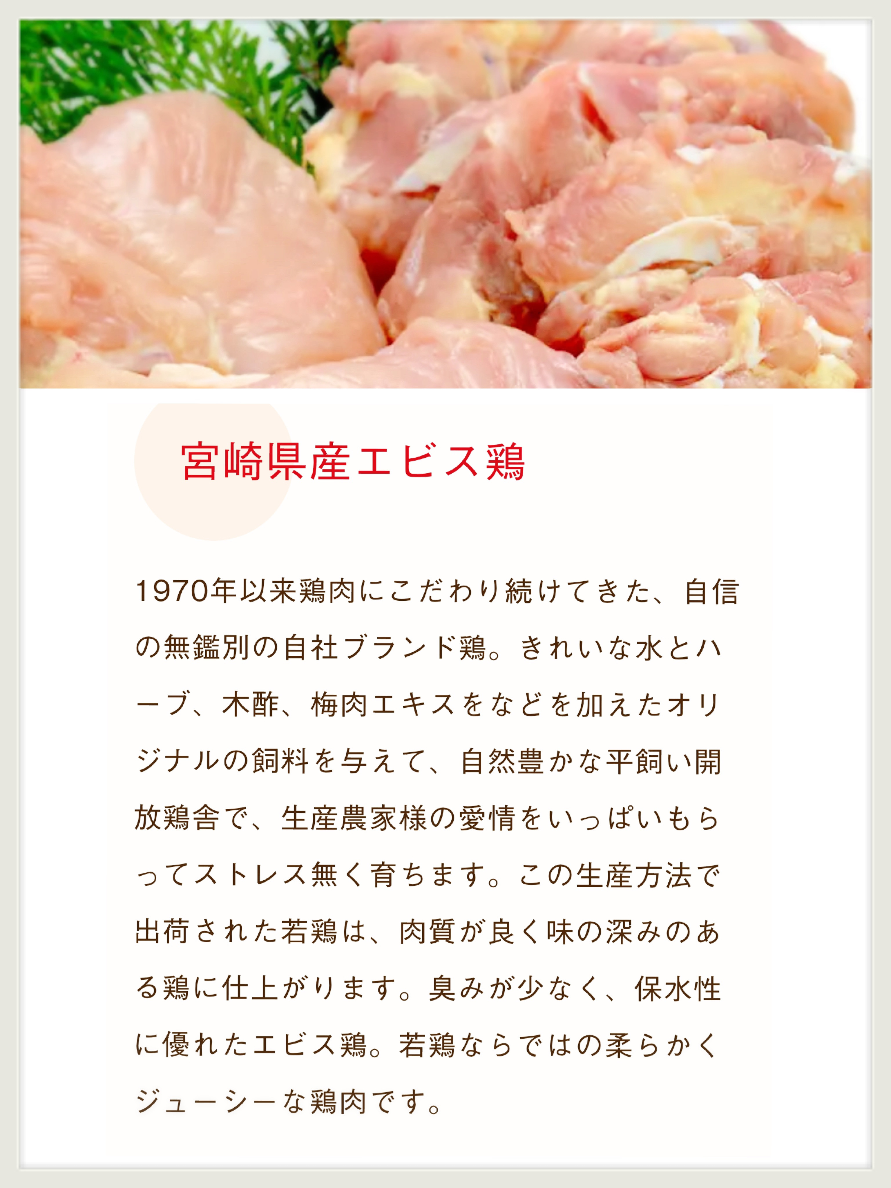 11/16(日)エビス鶏🎉🎉🎉