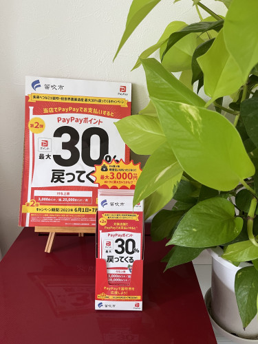 56C2343D-49EA-40CB-889D-4C07BD768C3A.jpeg
