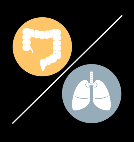 意外な【肺と腸】の関係