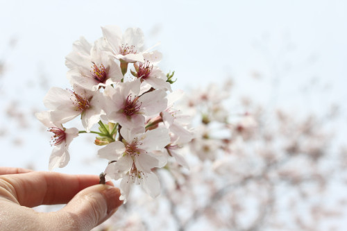 3月31日