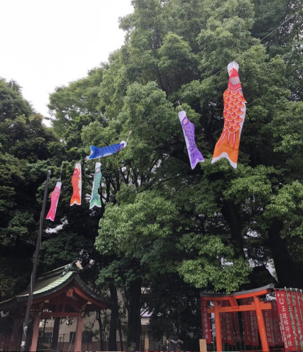 立夏