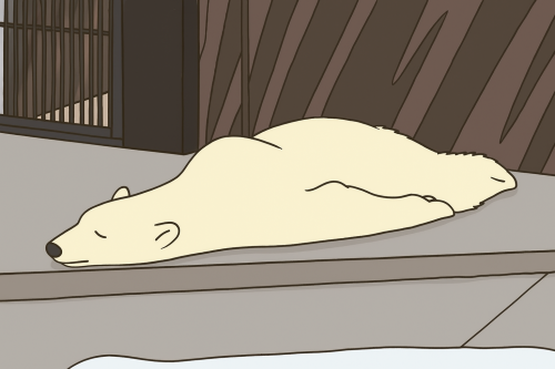疲れを流すカギは…