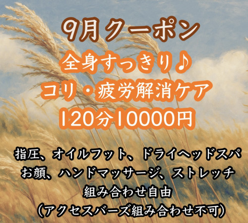 今月のクーポンと施術について