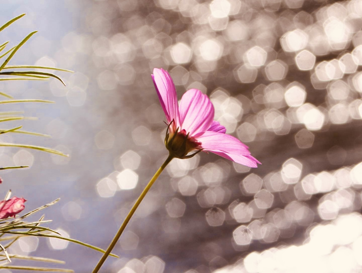 5A506351-1B0F-486A-B754-E7DB536FF4DF.jpeg