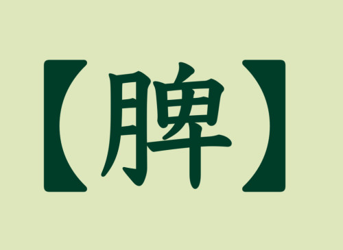 季節の変わり目の不調を整える「脾」のはたらきとは