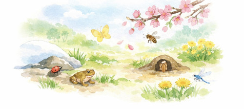 啓蟄（けいちつ）の頃の過ごし方