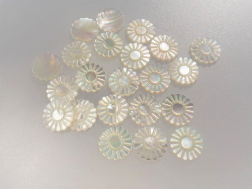 白蝶貝　菊１.JPG