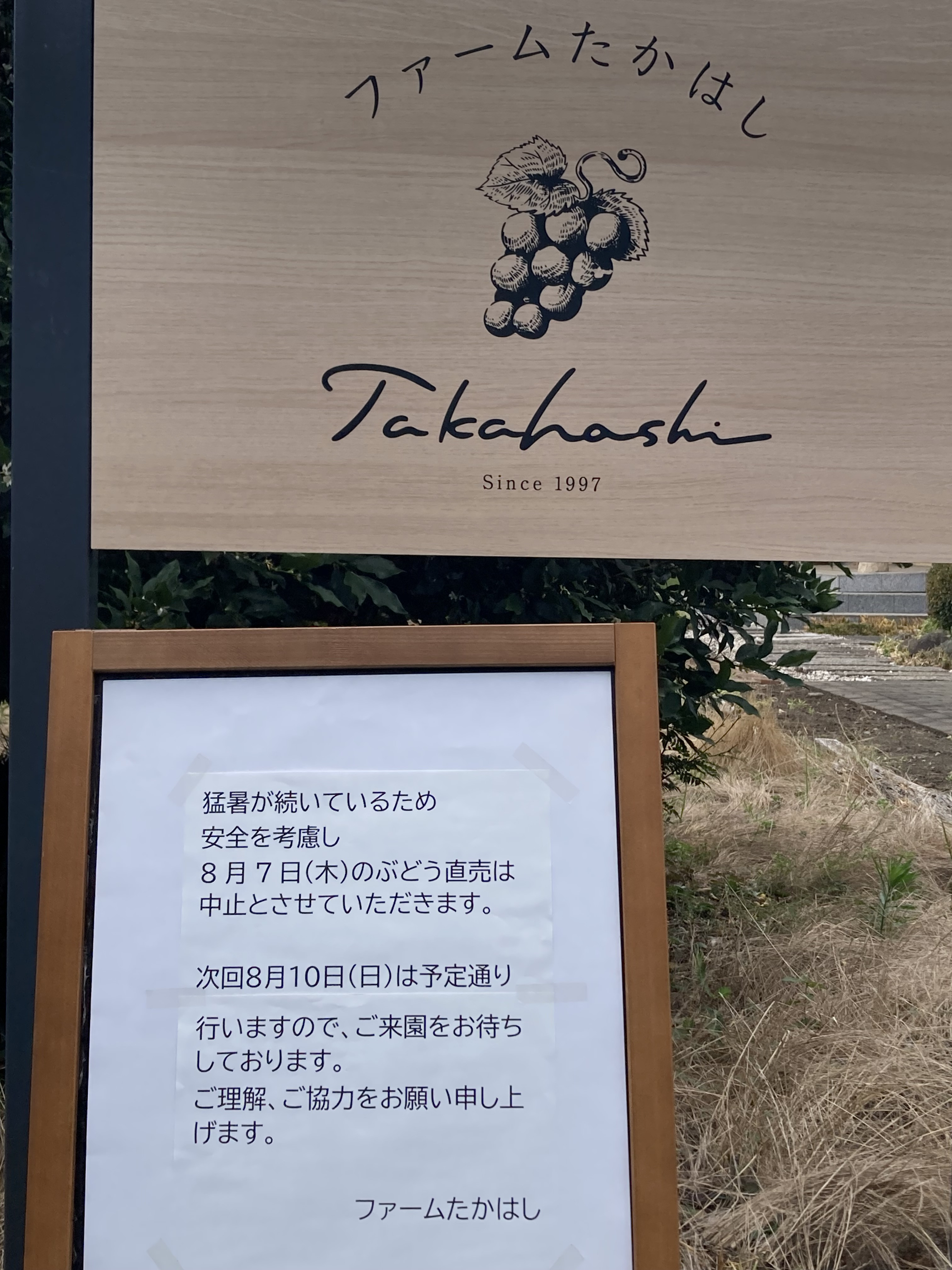 ８月７日(木)のぶどう直売中止のお知らせ