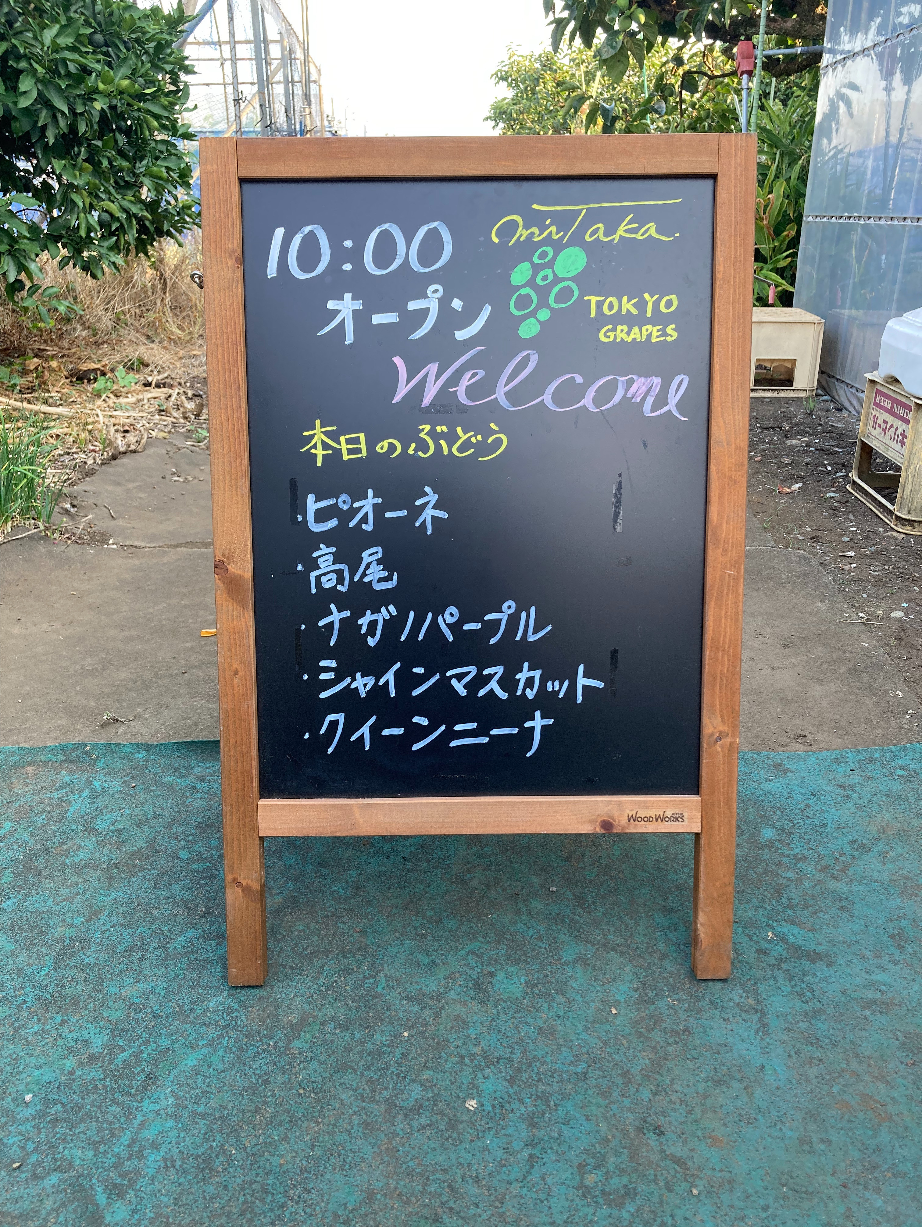８月１０日(日)のぶどう直売のお知らせ