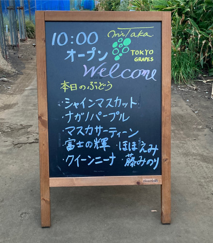 9月3日(水)のぶどう直売のお知らせ