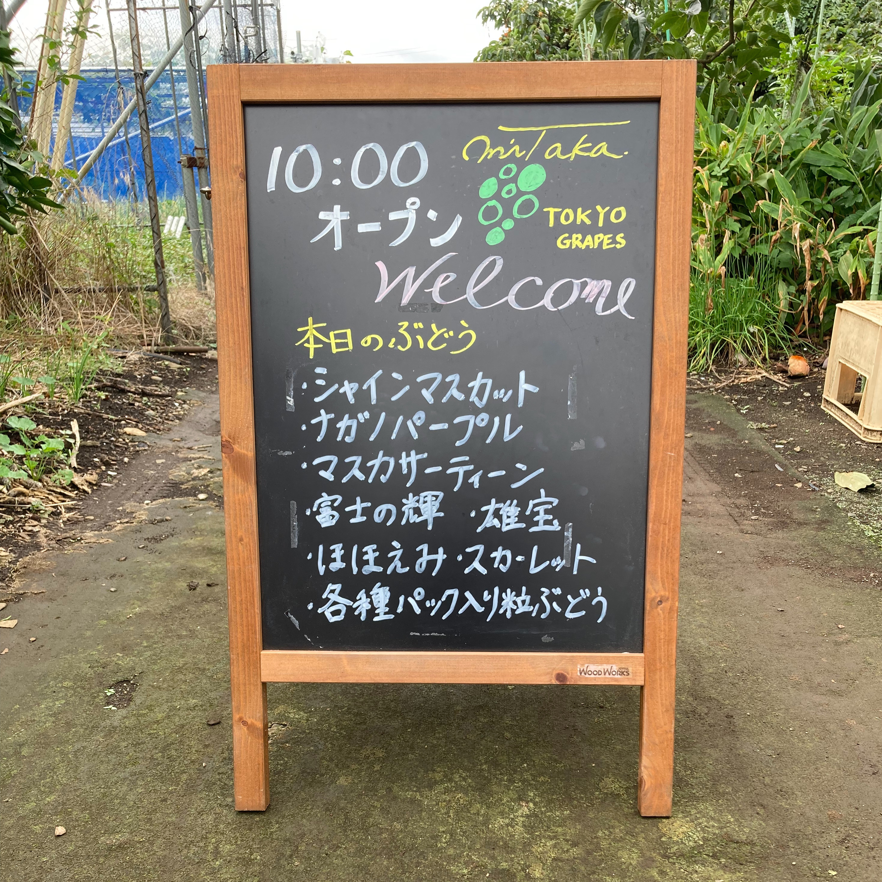 9月14日(日)のぶどう直売のお知らせ