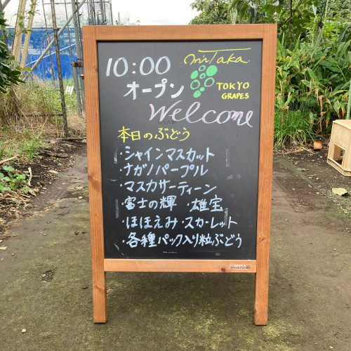 9月14日(日)のぶどう直売のお知らせ