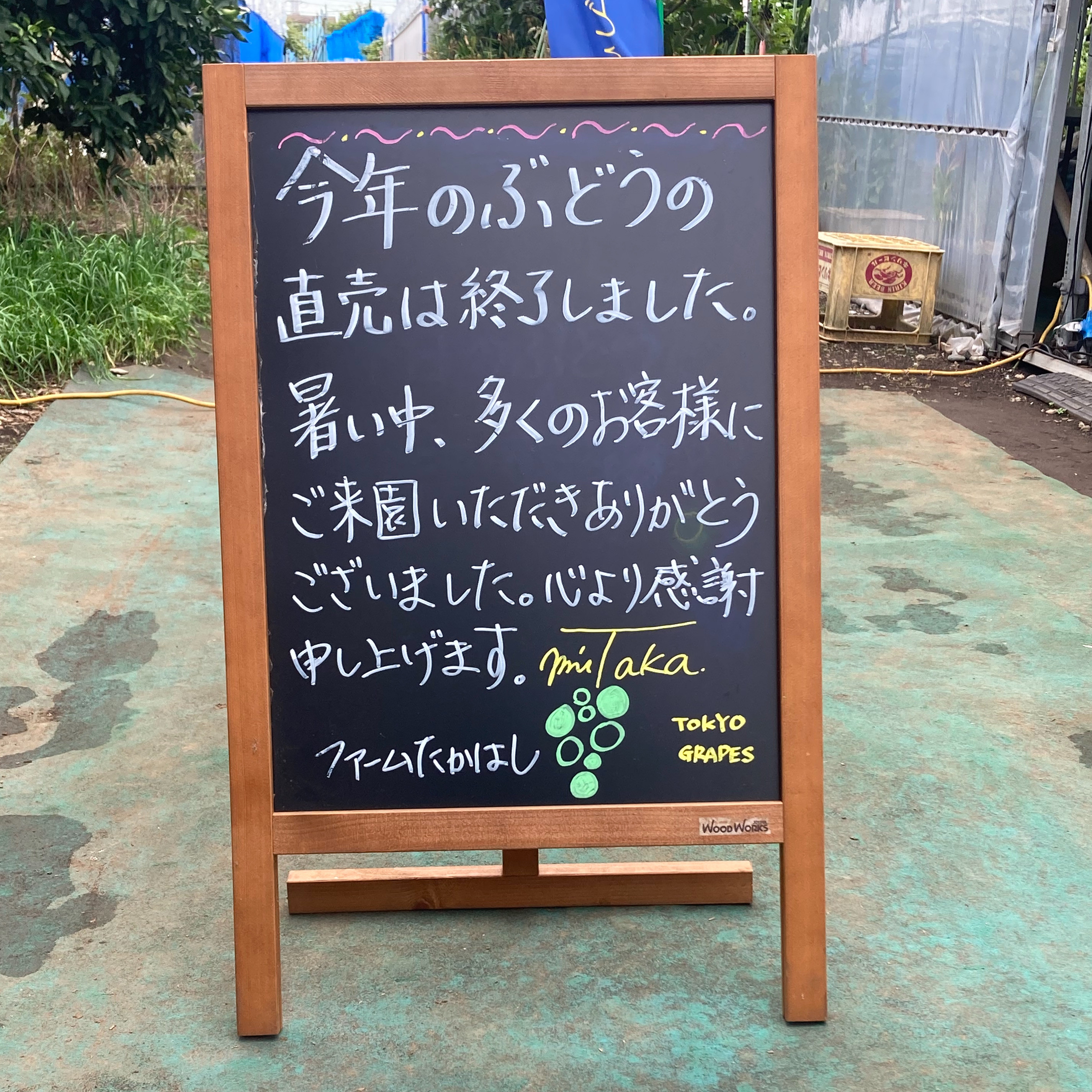 ぶどう直売のお礼