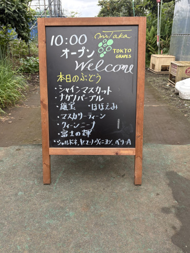 9月6日(日)のぶどう直売のお知らせ