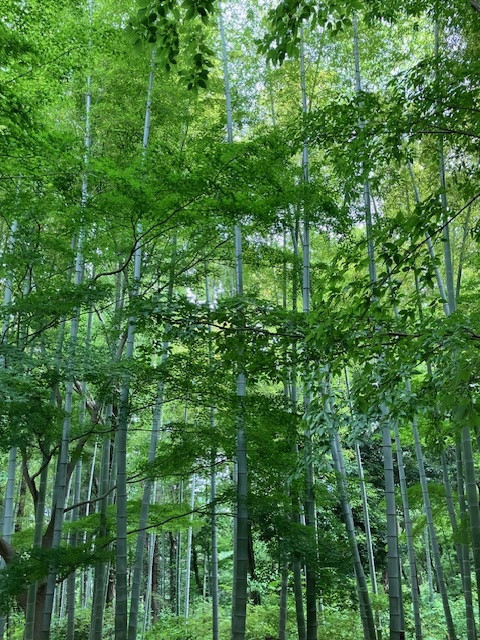 静謐な空間