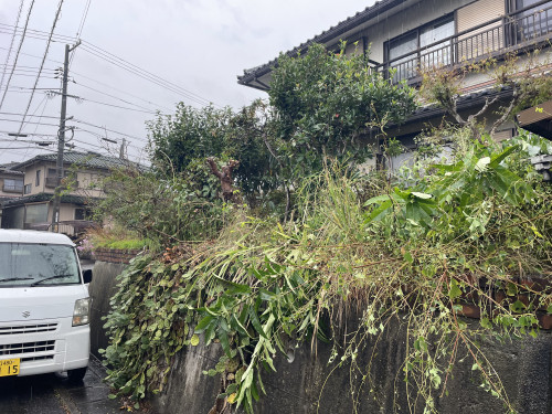 IMG_6511.jpeg