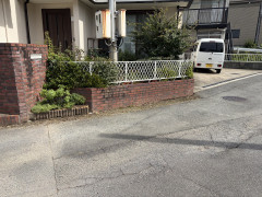 IMG_2031.jpeg
