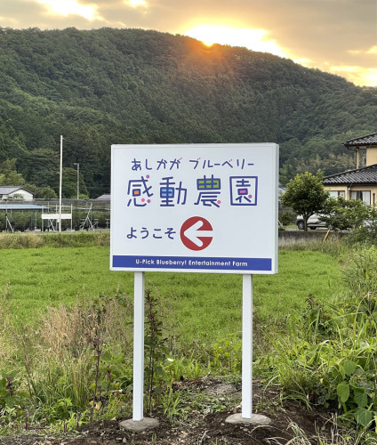 看板・施工デザイン